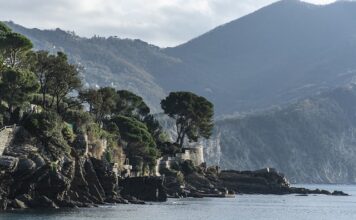 Ile kosztuje zawias cichy domyk?