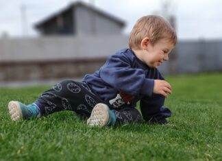 Czy Frolic jest dobra karma?